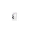 Gode jelly transparent ventouse taille S 15.3cm 